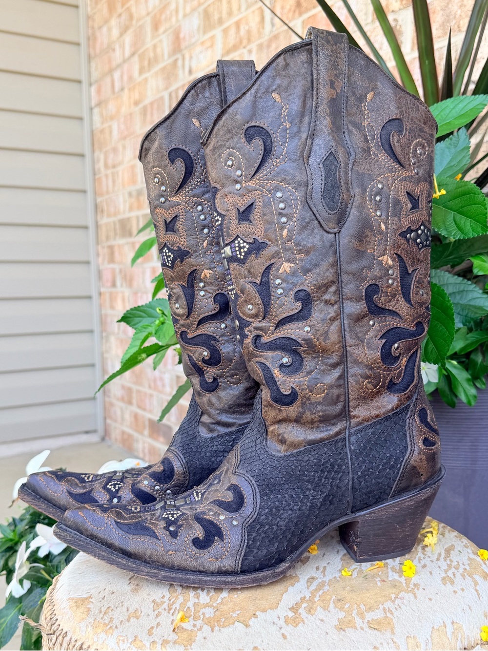 Corral Swarovski Crystal Embellished Cross Python Leather Cowboy Boots Black 8.5 - Picture 7 of 16